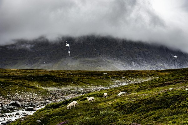 Discover Unique UK Cruises with Exclusive Golf Retreats at Iconic Historic Courses